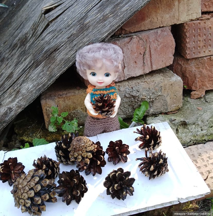 ФотоЧетверг. Всё на букву “Ш“