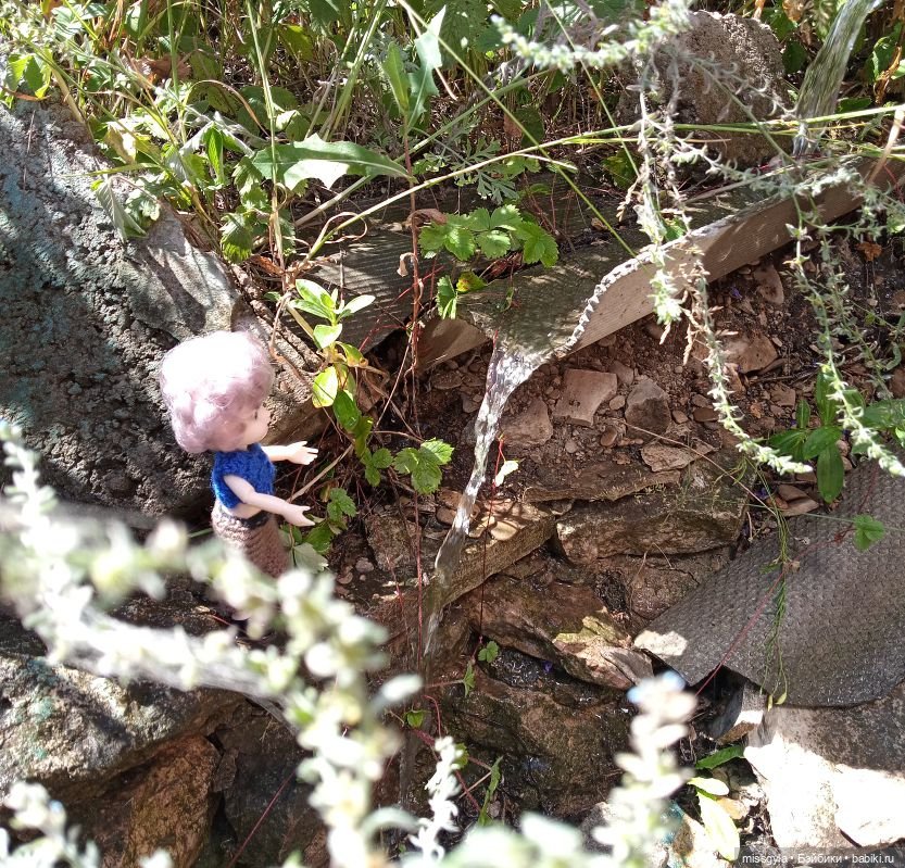 Целебные травы и контрабандные товары (фото 10)