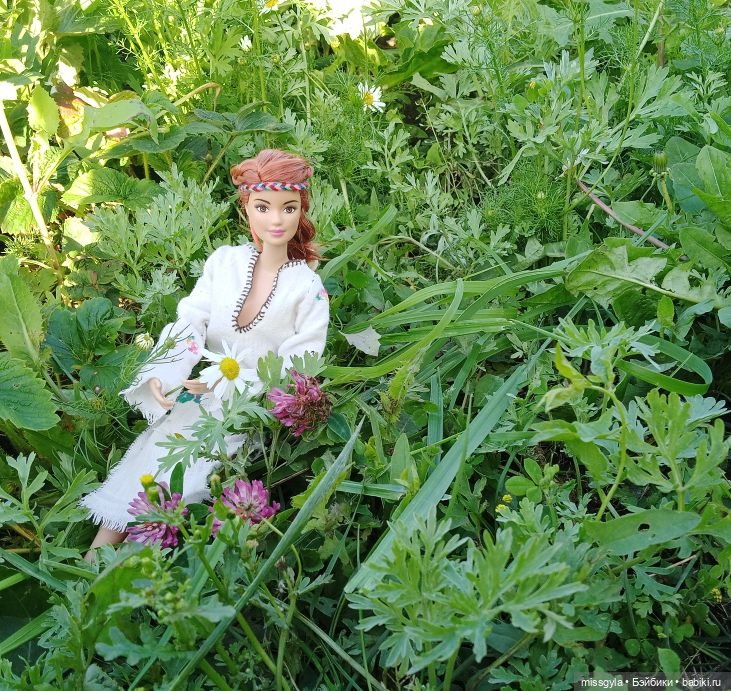 Целебные травы и контрабандные товары (фото 6)