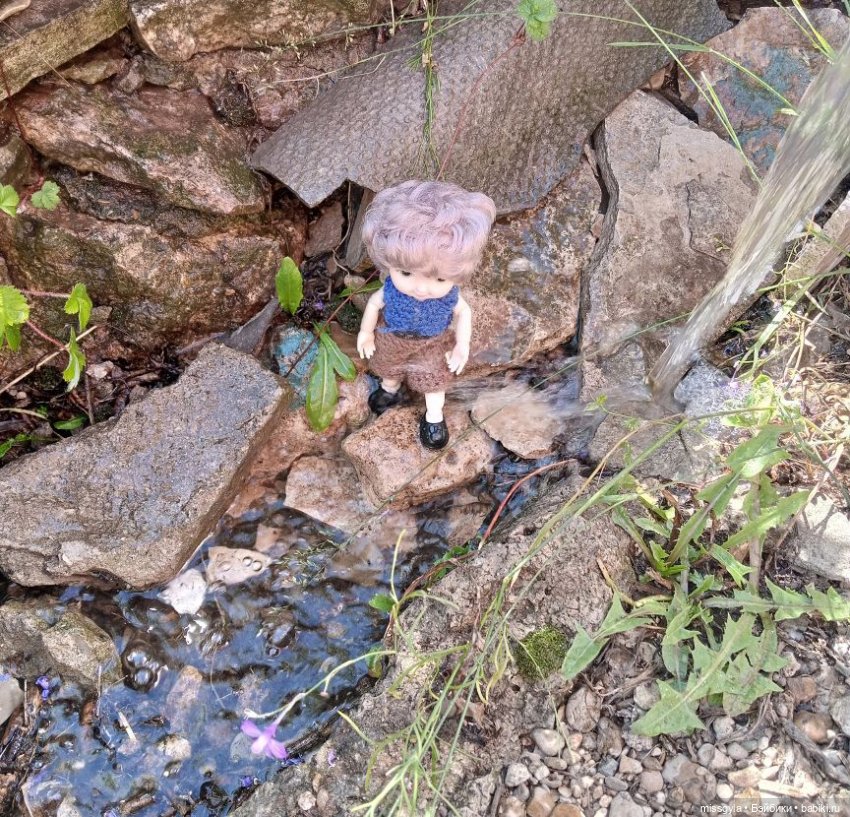 Целебные травы и контрабандные товары