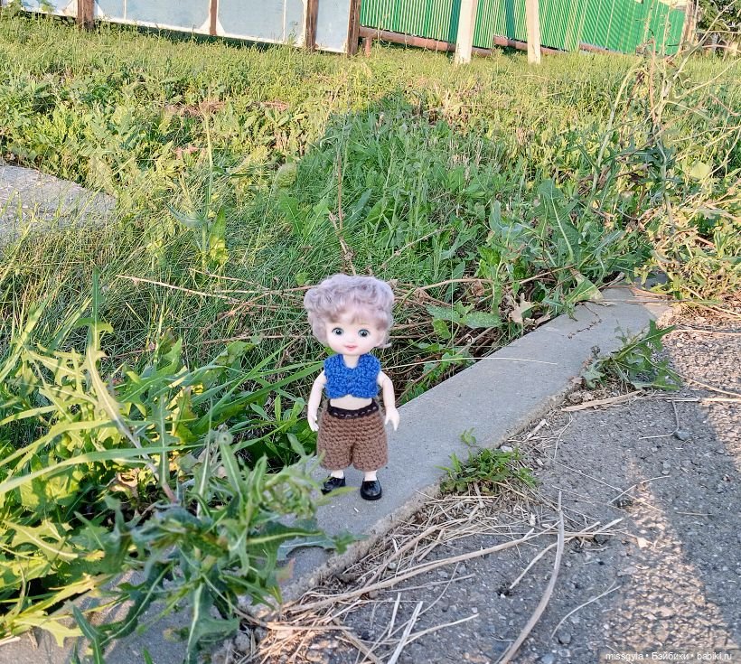 Лёшкино лето — Куклы Baboliy (Баболи