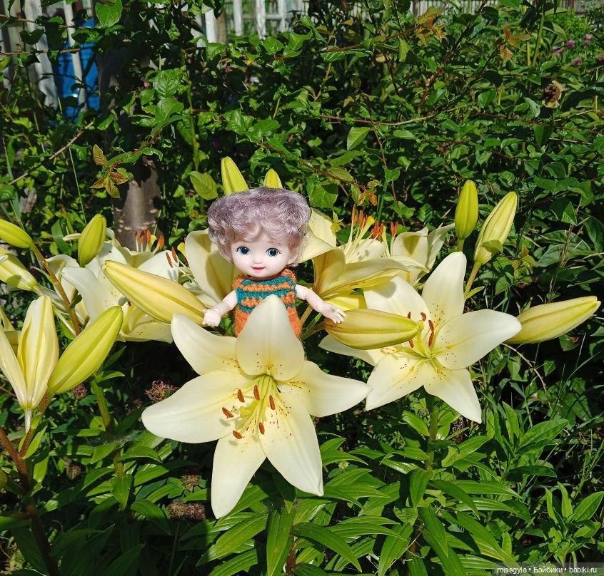 Лёшкино лето — Куклы Baboliy (Баболи