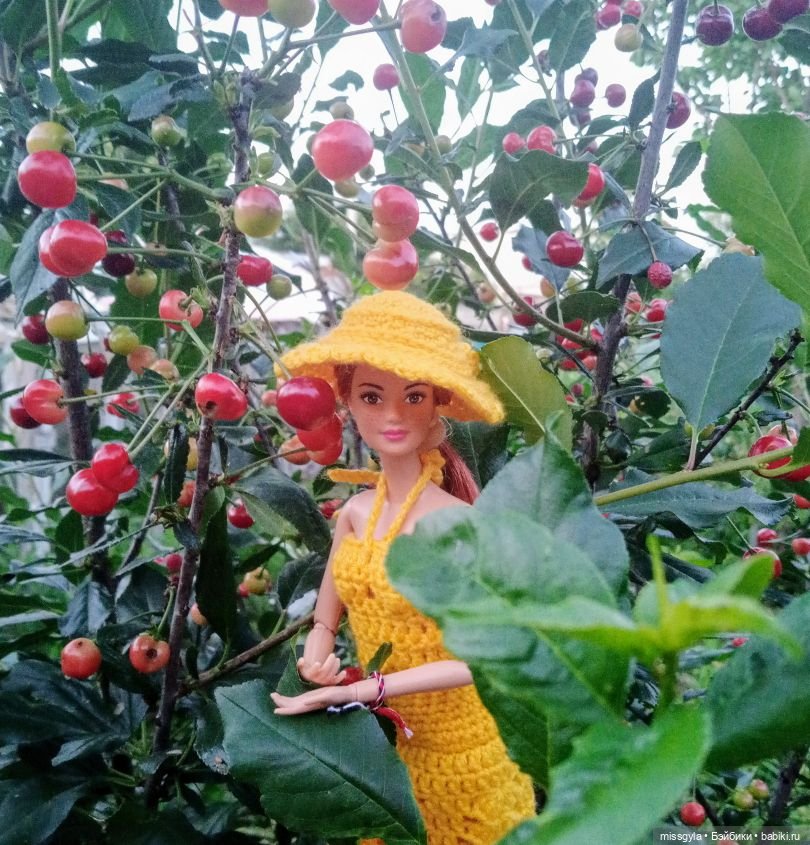 Джина. Лето, травы...(ч.1) (фото 8)