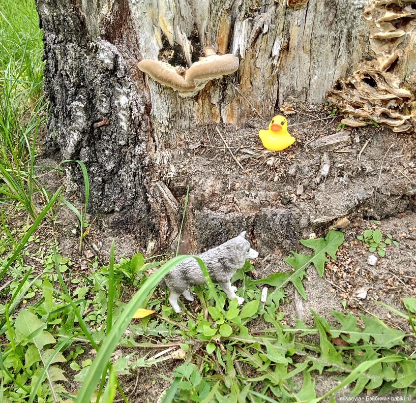 Джина. Лето, магия трав...(ч.2)