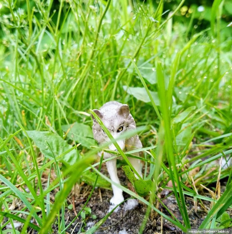 Джина. Лето, магия трав...(ч.2)