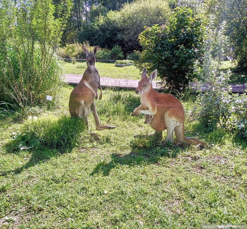 Ким и Аяна в Ботаническом саду