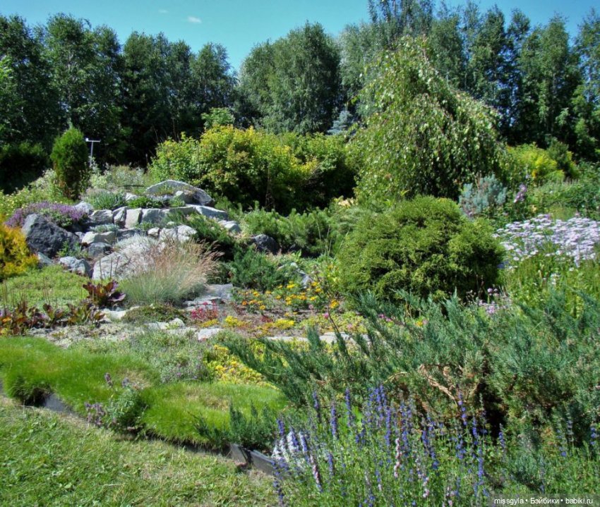 Ким и Аяна в Ботаническом саду (фото 4)