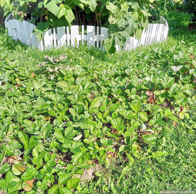 Ким и Аяна в Ботаническом саду