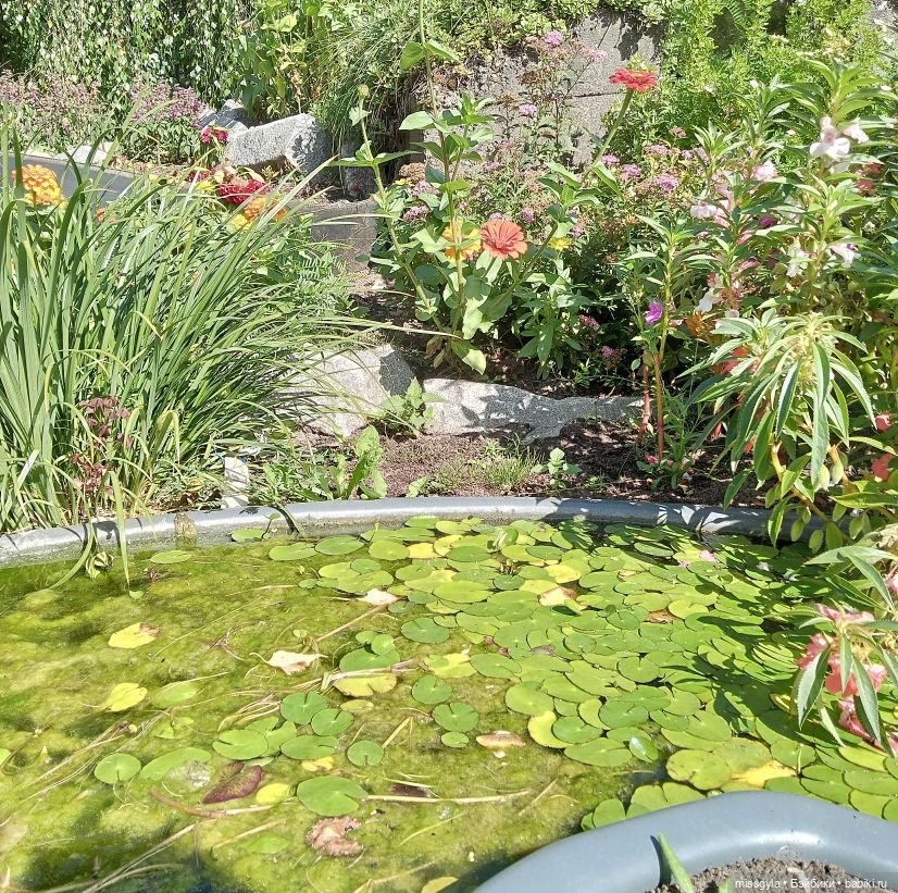 Ким и Аяна в Ботаническом саду (фото 6)