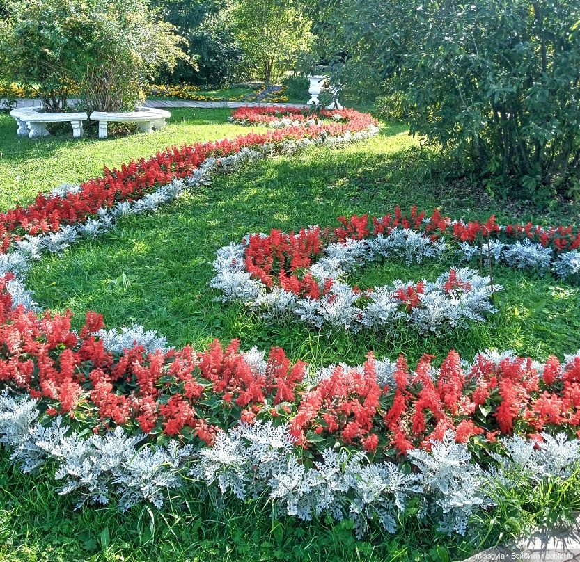 Ким и Аяна в Ботаническом саду