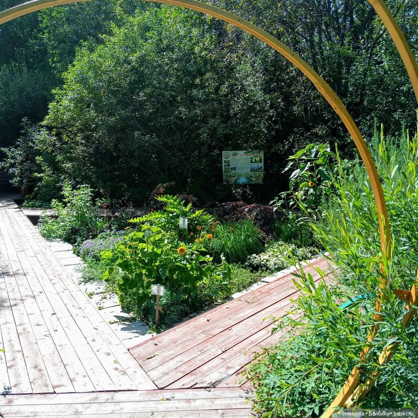 Ким и Аяна в Ботаническом саду