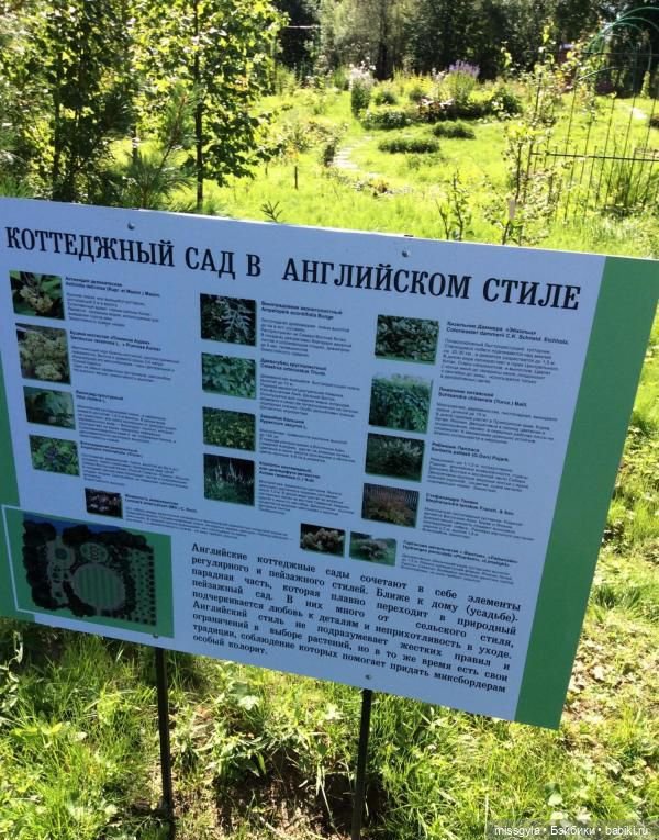 Ким и Аяна в Ботаническом саду