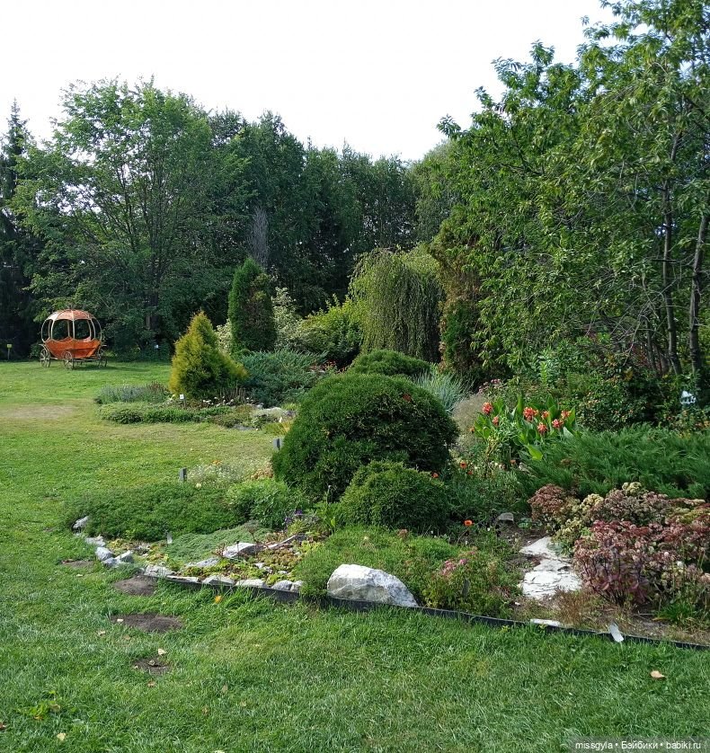 Ким и Аяна в Ботаническом саду (фото 3)