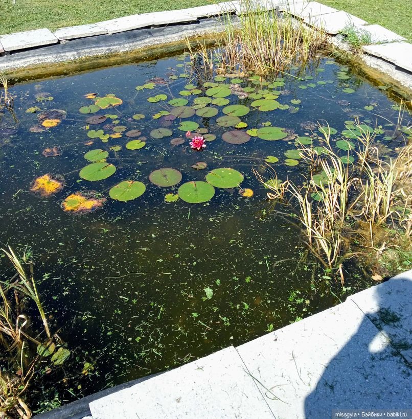 Ким и Аяна в Ботаническом саду