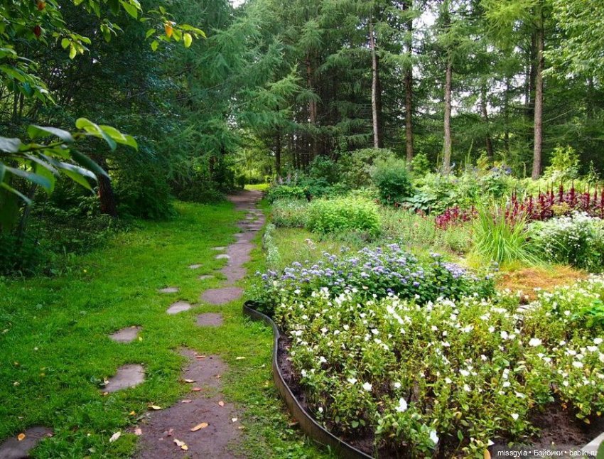 Ким и Аяна в Ботаническом саду