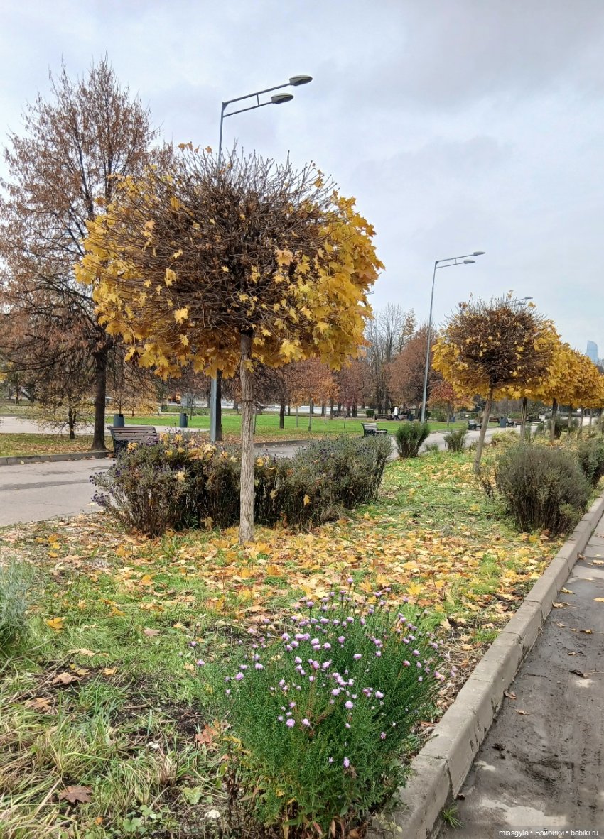 Московская осень. Селеста