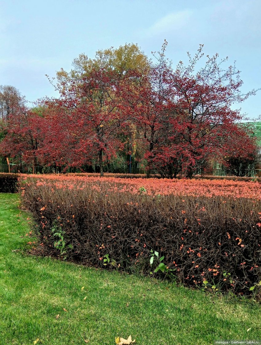 Московская осень. Селеста