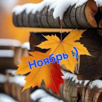 А что у нас? (ноябрьское)