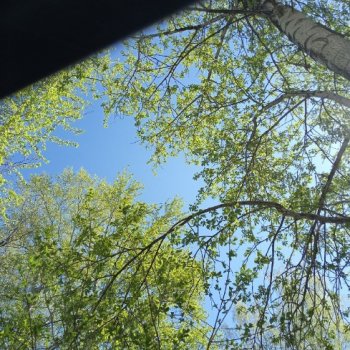 Морпехи ... (Андрей)