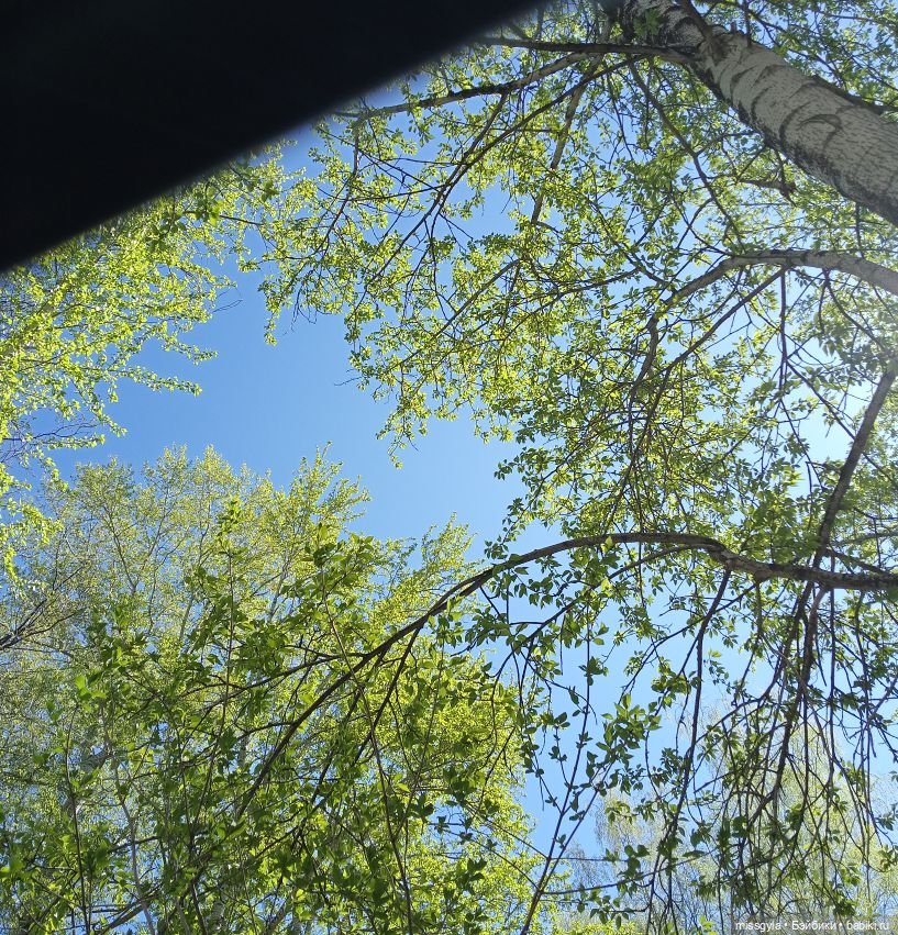 Морпехи... (Своих не бросаем) (фото 4)