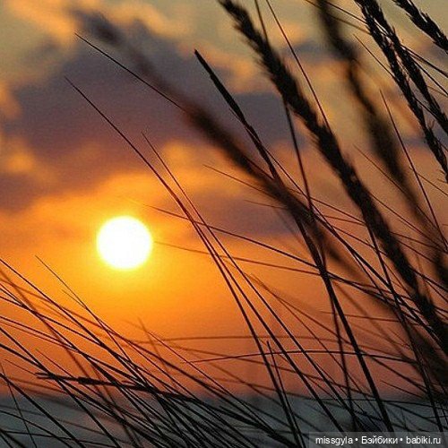 Морпехи... (Своих не бросаем) (фото 7)