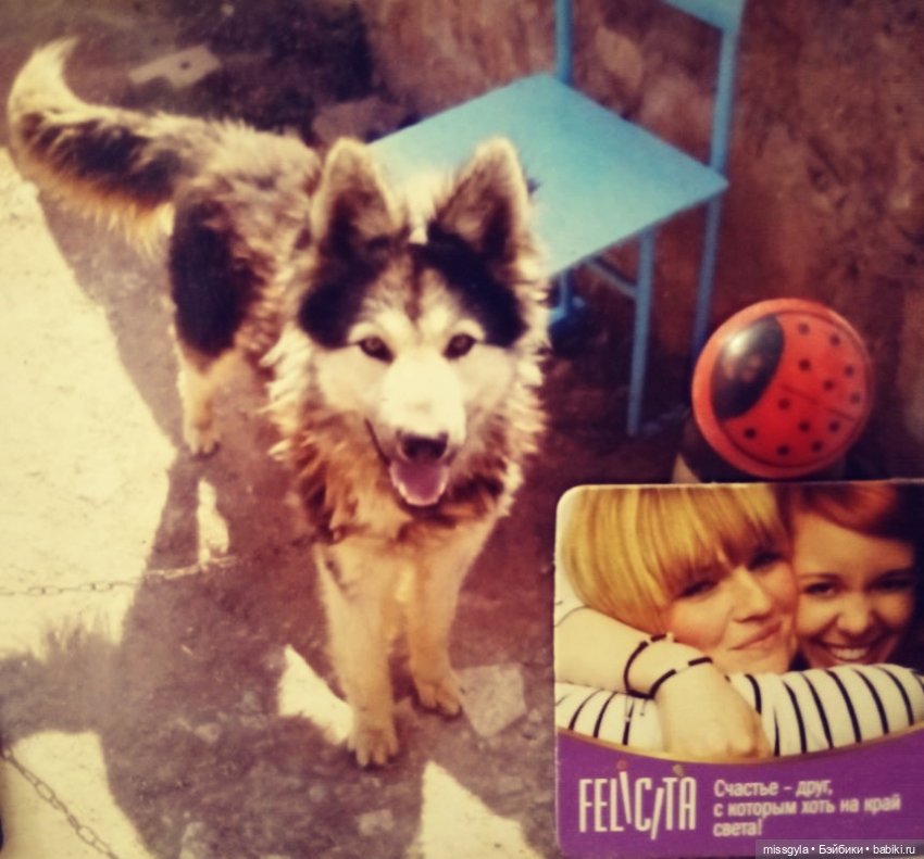 Морпехи... (Своих не бросаем) (фото 8)