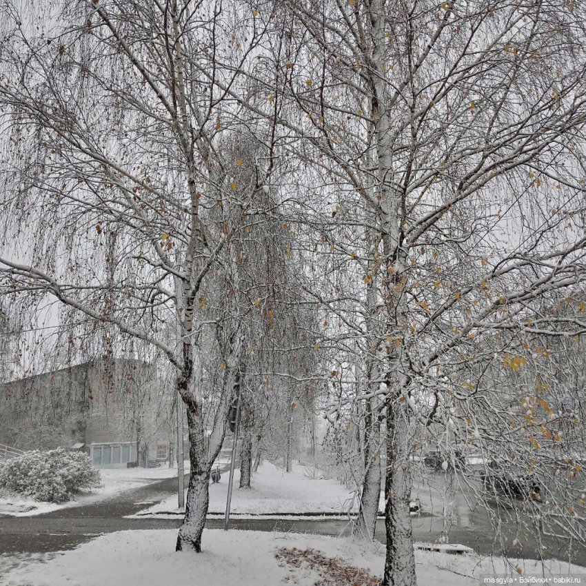 Снег кружится (Селеста) — Куклы Barbie (Барби): Looks (фото 5)