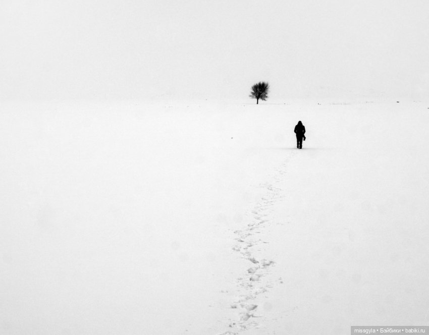 Снег кружится (Селеста) — Куклы Barbie (Барби): Looks