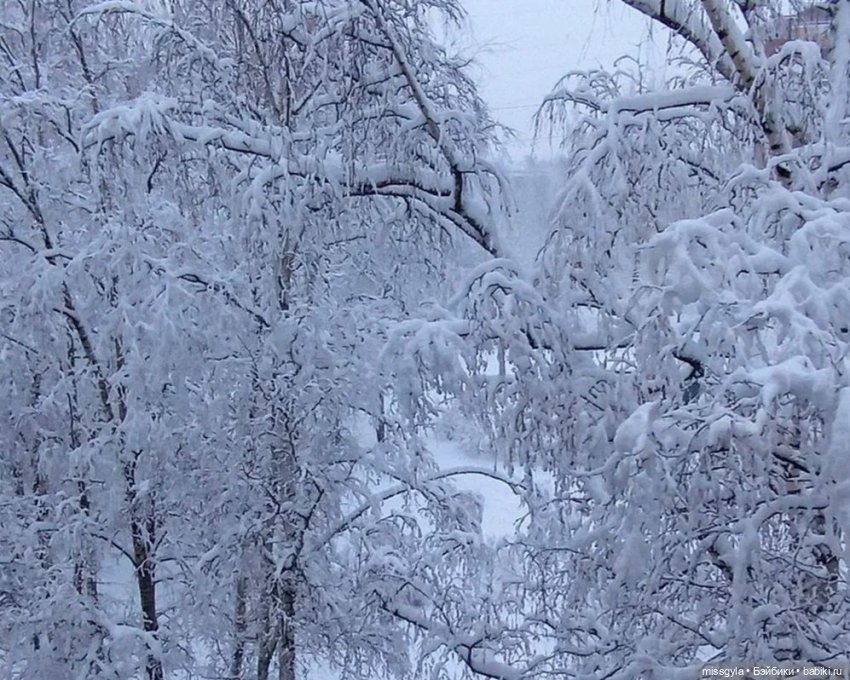 Снег кружится (Селеста) — Куклы Barbie (Барби): Looks