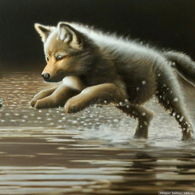 О боггартах и патронусах — Кукольные фотоистории и сериалы: комиксы