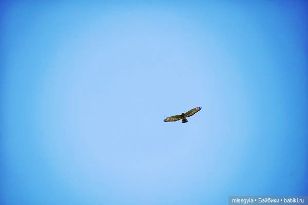 О боггартах и патронусах — Кукольные фотоистории и сериалы: комиксы