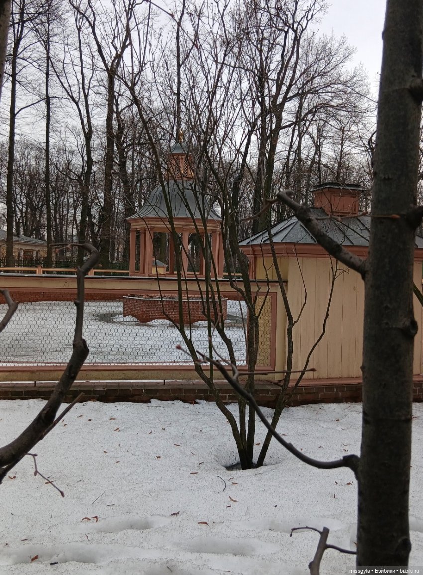 И в Летний сад гулять водил