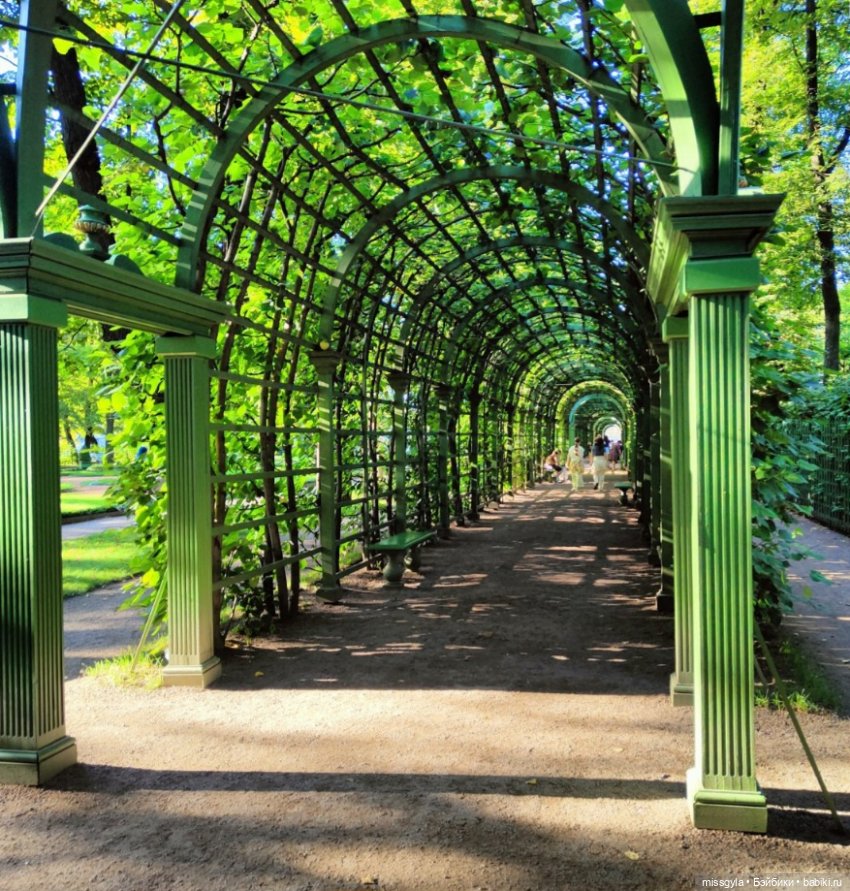 И в Летний сад гулять водил