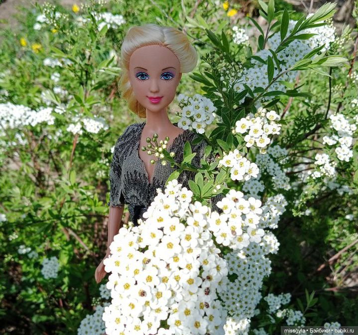 Четыре цвета глаз — Куклы Barbie (Барби): Looks (фото 6)