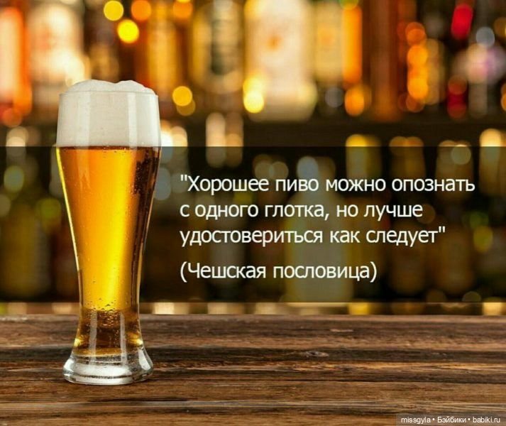 Гаражные посиделки — Куклы Barbie (Барби): Looks (фото 10)