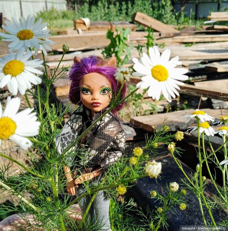 Лето (вспоминает Клодин )🌸🌿 (фото 8)