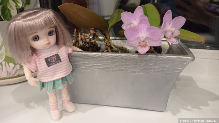 Путь к моей мечте - Xiaomi Monst Doll