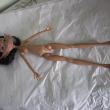 Помогите определить что это за куколка?