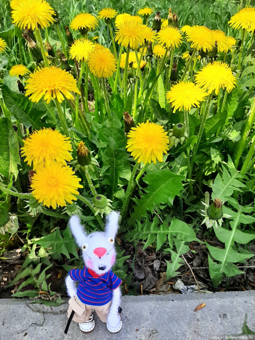 Ветерок гуляет — Вязаные игрушки и амигуруми: крючком (фото 6)