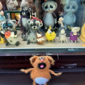 Ерофей гуляет по С-Петербургу