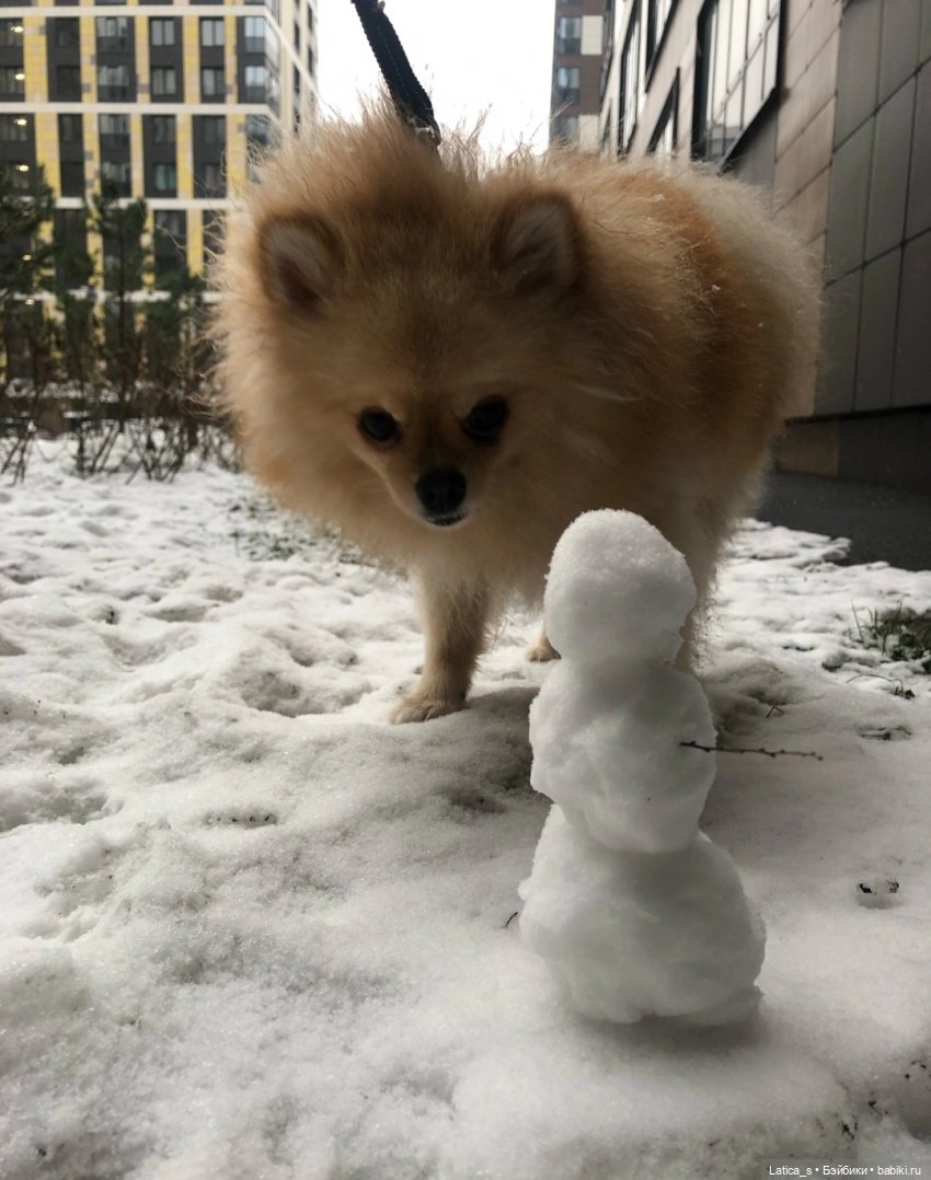 С Новым годом — Текстильные игрушки и примитивы: кофейные (фото 9)