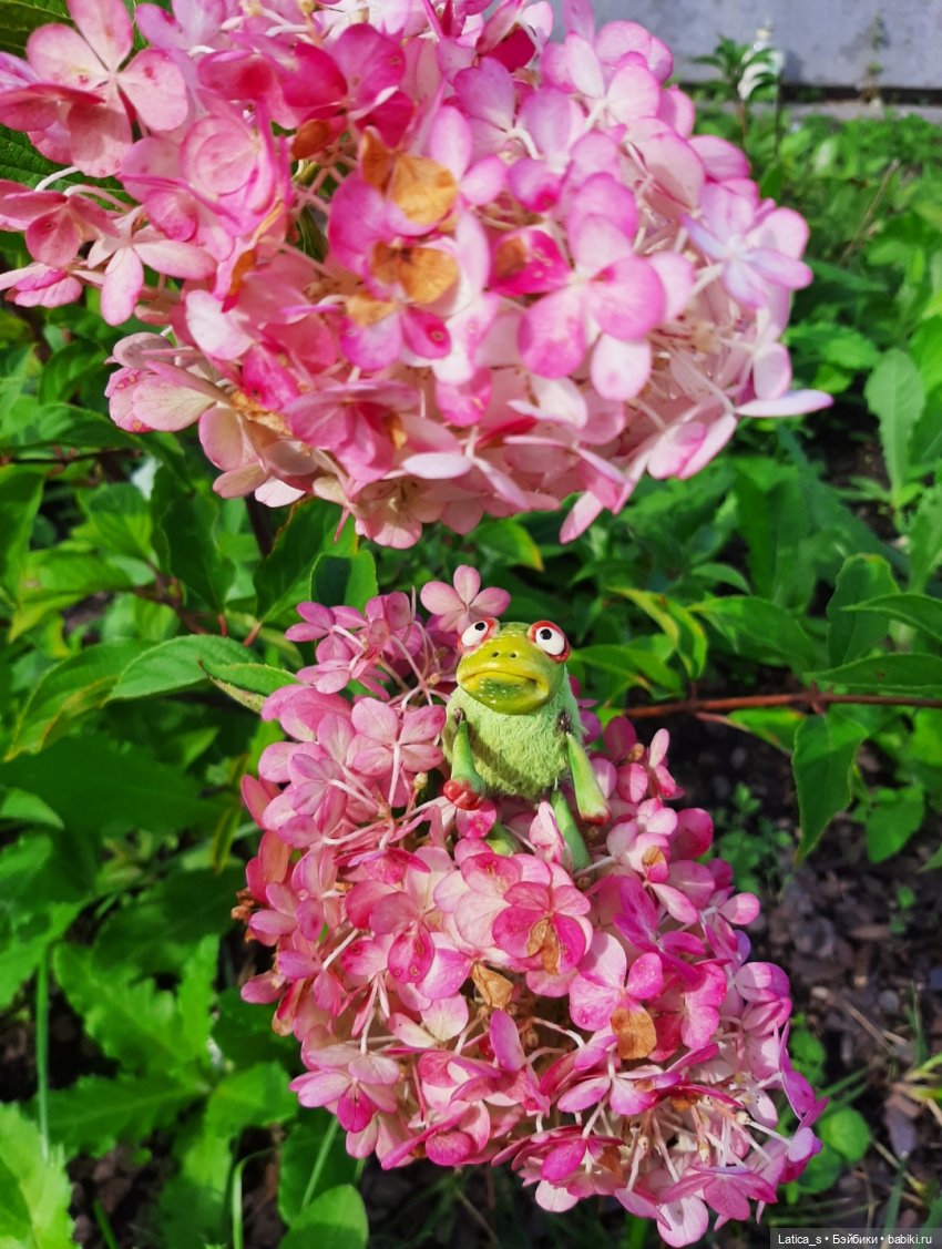 Пешком по Питеру.Часть вторая: прогулка малышей (фото 5)