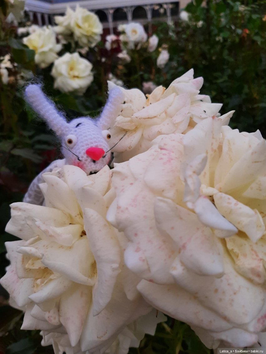 Пешком по Питеру.Часть вторая: прогулка малышей