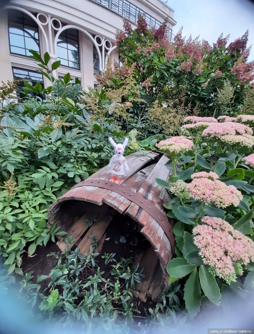 Пешком по Питеру.Часть вторая: прогулка малышей