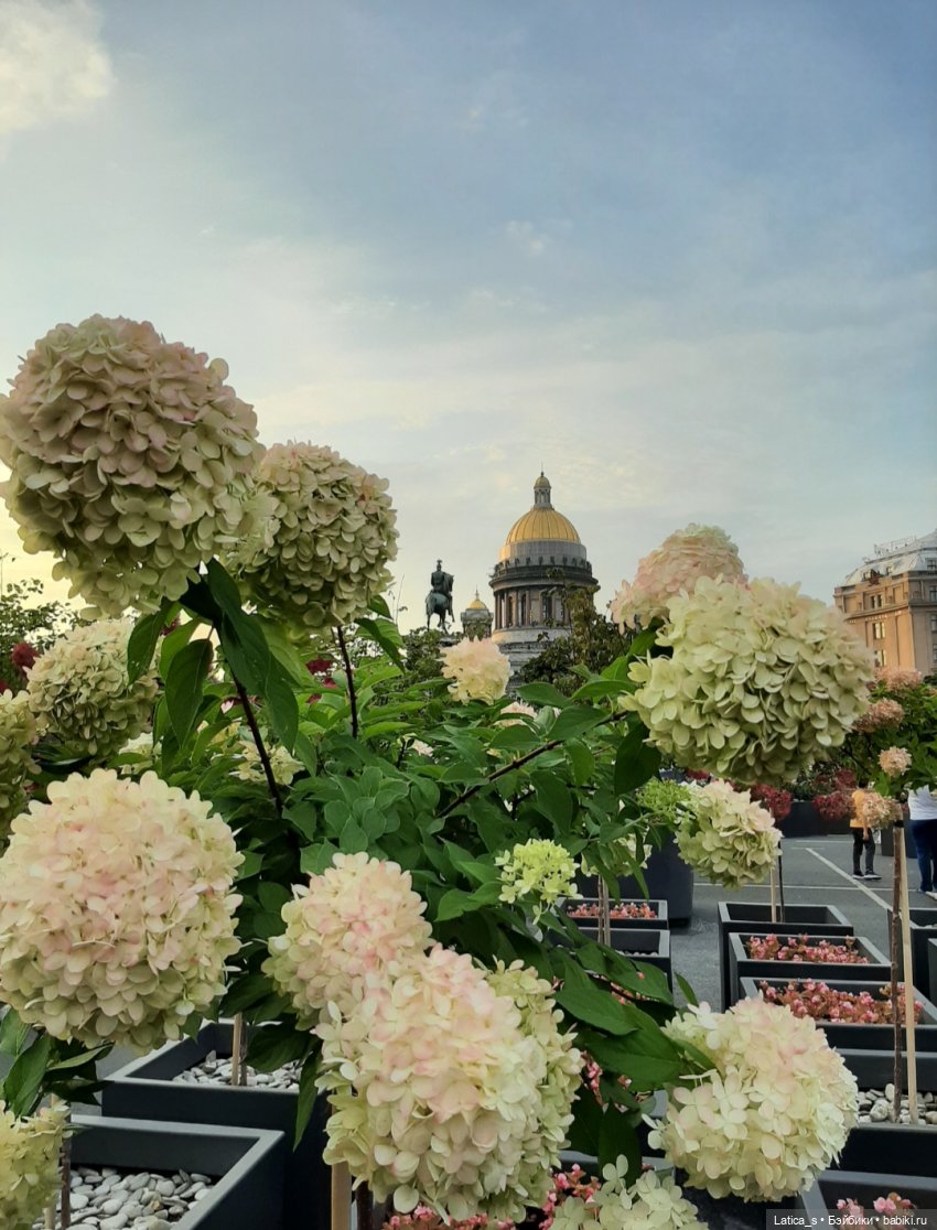 Пешком по Питеру.Часть вторая: прогулка малышей