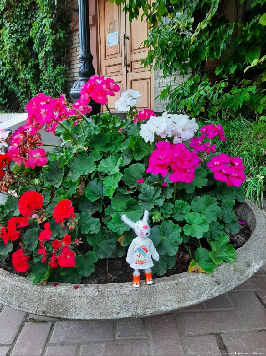 Пешком по Питеру.Часть вторая: прогулка малышей