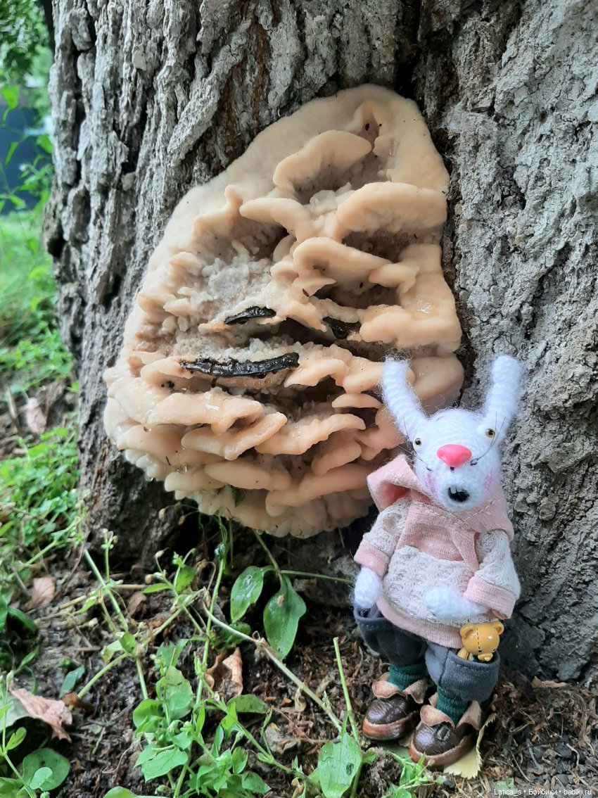 Прогулка с Ветерком — Вязаные игрушки и амигуруми: крючком (фото 3)