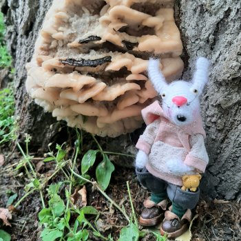 Прогулка с Ветерком