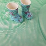 Резиновые сапожки