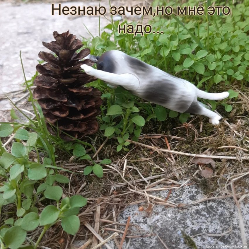 Кот Бисквит с друзьями — Коллекционные фигурки (разное): животные (фото 5)